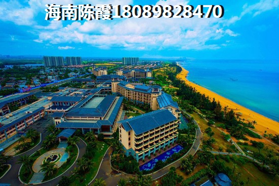 来时策马去时折花云菲菲