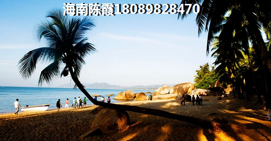莲菜热炒孕妇可以吃不放姜吗