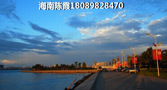 虾酱豆腐用什么虾酱炒好