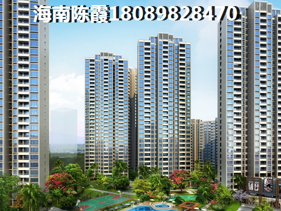 这高贵的样子是什么歌曲